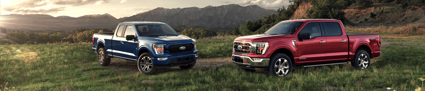 Test Drive The 2021 Ford F-150