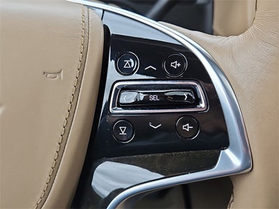 2020 Cadillac Escalade Platinum Edition